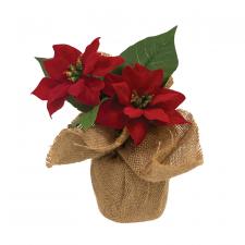 Christmas Poinsettias in Burlap Base