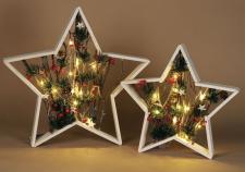 Lg White Frame Star w/LED Light