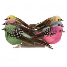 Colorful Feathered Bird Clip - 6 Asstd.