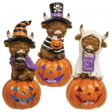 Lighted Halloween Resin Highland Cow - 3 Asstd