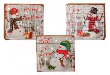 3 Asstd Snowman Christmas Block w/LED Light